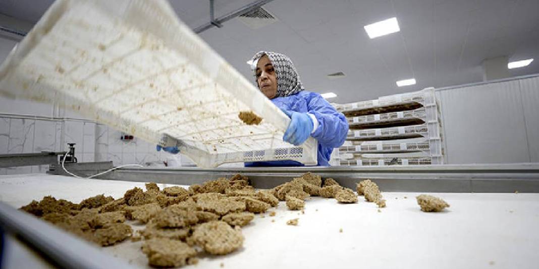 Osmanlı usulüyle yapılıyor, tesciliyle nam salıyor! Malatya’nın meşhur tarhanası ihracat için hazırlanıyor 1